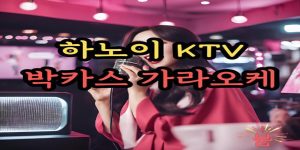 하노이 박카스 가라오케